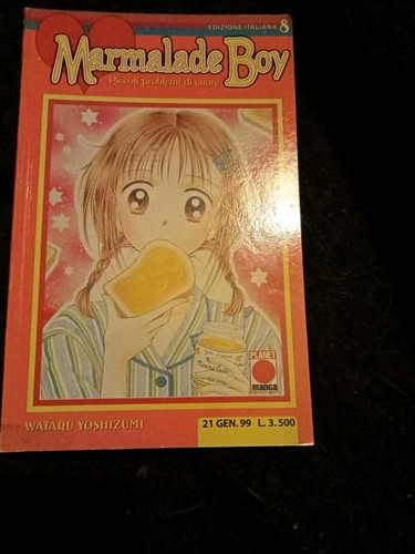 Marmalade boy numero 1 - boy,