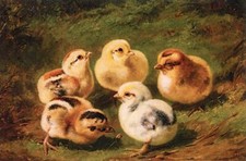 Art Oil painting lovely & cute