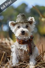 West Highland White Terrier as