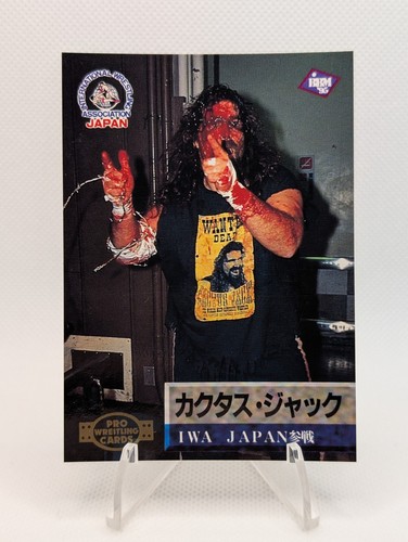 Cactus jack iwa - jack, (mick