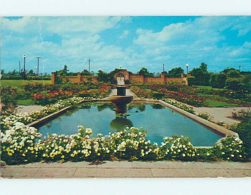 Rose garden tyler texas - rose, tx