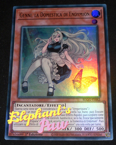 Yugioh genni domestica - yugioh,
