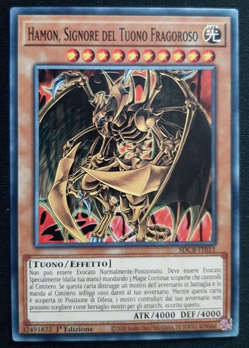 Hamon signore del tuono - signore,