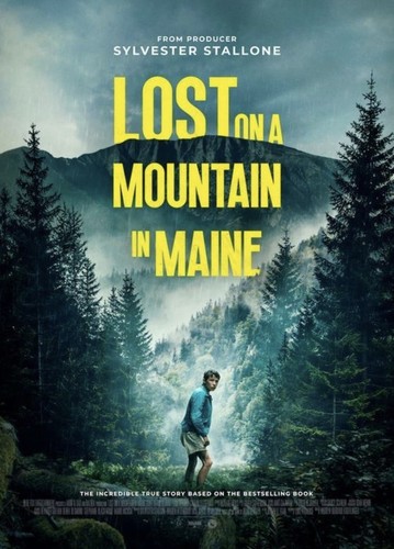Lost mountain in - lost,