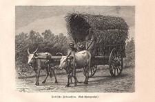 Stampa antica INDIA carro