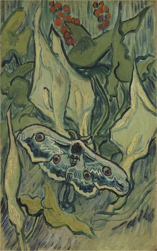 Dipinto olio mano - olio,