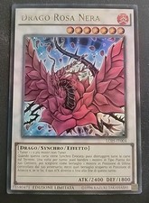 DRAGO ROSA NERA • (Drago