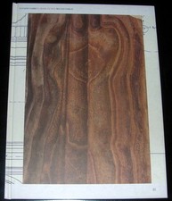 Luciano Fabro L'Araba Fenice Reggio Emilia Gli Ori 2005