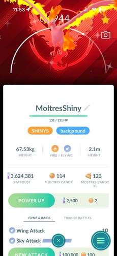 Moltres lucido sfondo - /,