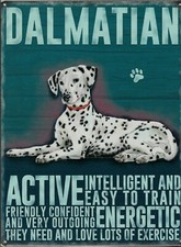 TARGA METALLO Vintage Cane