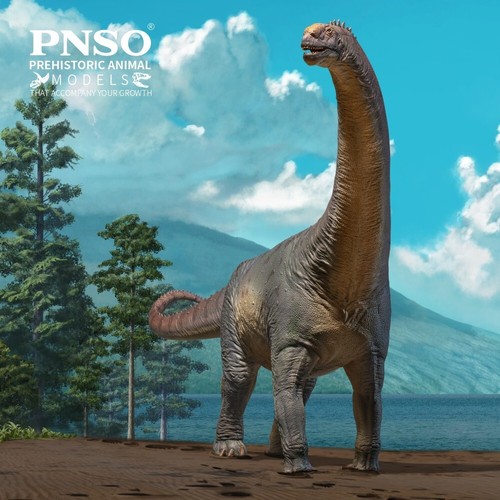 Pnso 2024 njor camarasaurus - njor,