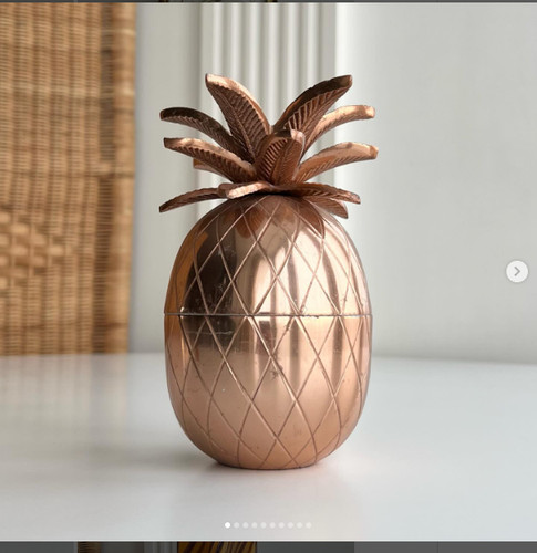 Vecchio barattolo ananas