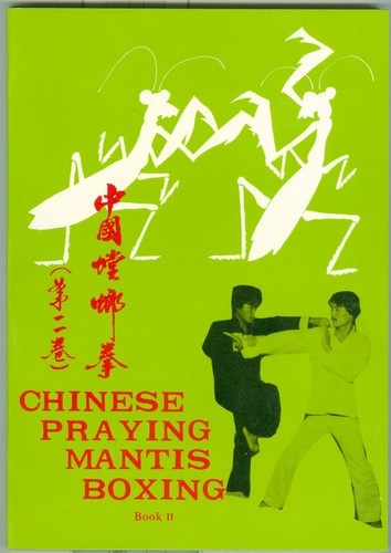 Martial arts self - martial, arts-self