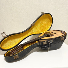 Suzuki violino Nagoya M-30