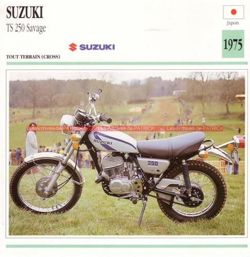 Suzuki 250 savage ts250 - 250,