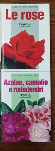 Lotto libri bayer - libri,