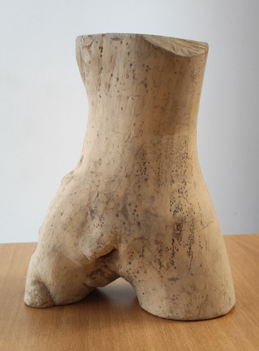 Legno per scultura tronco - legno,