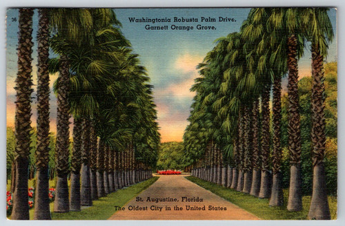 1943 augustine fl - 1943,