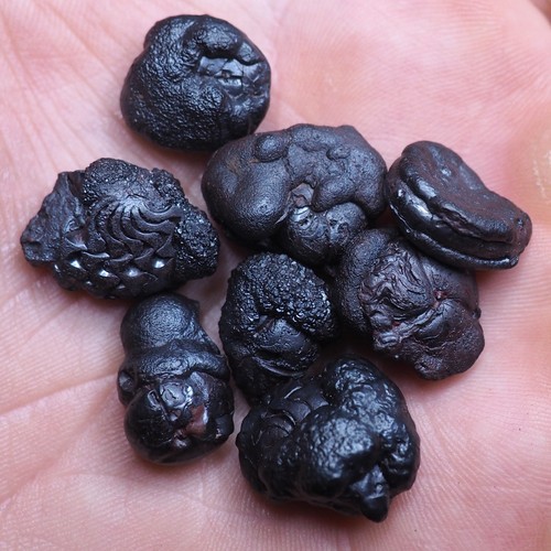 Goniatite botrioidale ematite - goniatite,