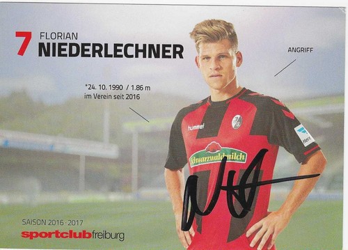 Florian niederlechner - niederlechner,