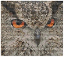 Schema Di Punto Croce Di Florashell - Gufo Aquila