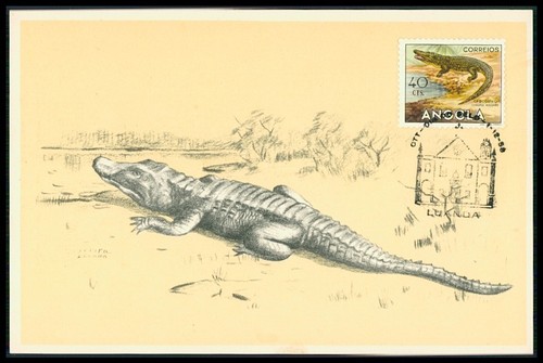 Angola 1958 fauna - 1958,