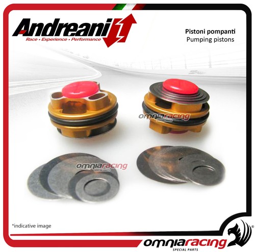 Andreani kit pistoni - , pompanti