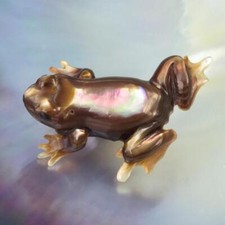 Guscio ostrica ali pinguino