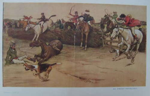 EQUITAZIONE_SALTO