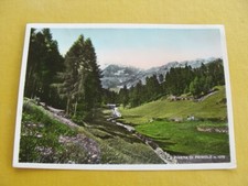 (FG.J24) CHIESA IN VALMALENCO - LA PINETA DI PRIMOLO (vg 1956, foto Donadelli)