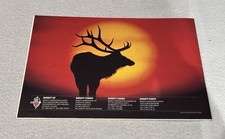 Brochure catalogo balestra