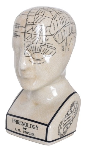 Kopfskulptur busto frenologia - busto,
