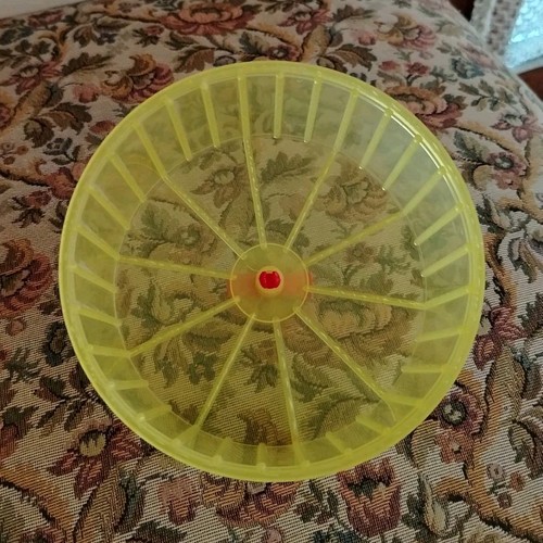 Ruota corsa per piccoli - da,