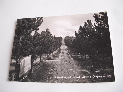 Pesaro carpegna 748 cippo - carpegna, m.