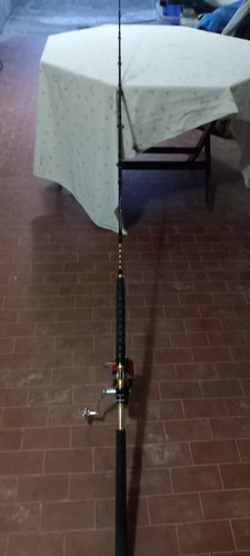 Canna spinning tonno - canna,