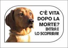 CARTELLO SEGNALETICO - SEGUGIO