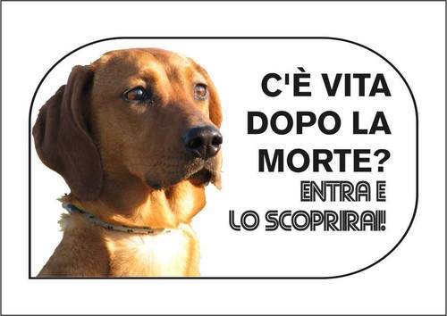 Cartello segnaletico segugio - -,
