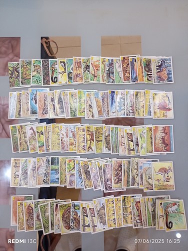 Lotto figurine panini - 98,