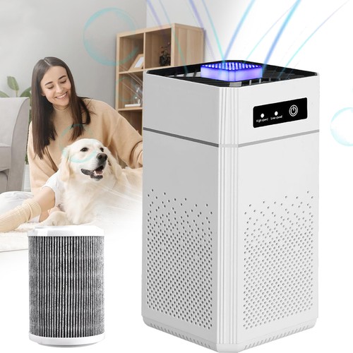 Purificatore aria con - purificatore,