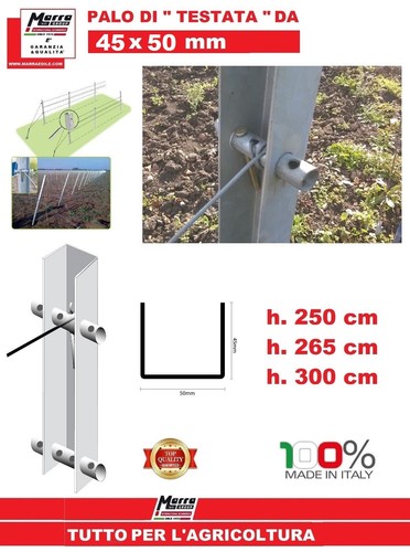 Palo testata 50x45 - palo, pali