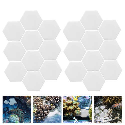20pcs taster per - ,