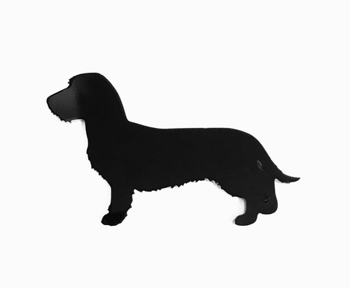 Bassotto grezzo cappotto cane - bassotto,