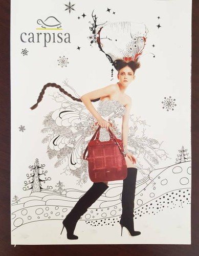Catalogo carpisa dépliant - catalogo,