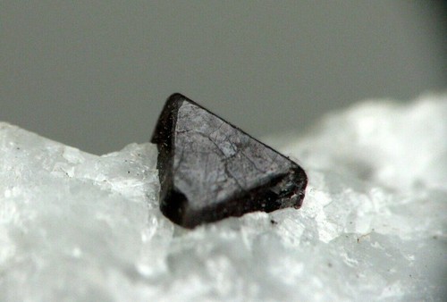 Sharp spinel quest - quest, quarry