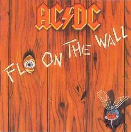 Fly the wall - -,