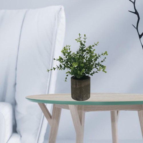 Chic artificiali eucalipto - chic, di