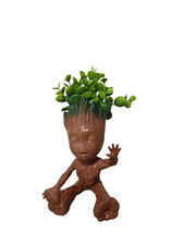 Groot con pianta per idea