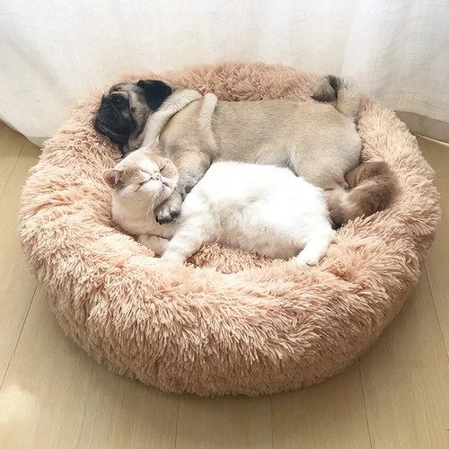 Cuccia cani gatti super - cuccia,