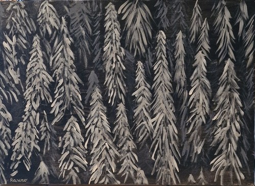 Massimo rasero inverno - massimo,