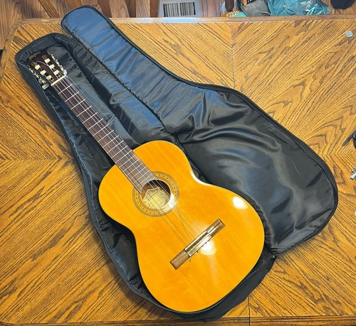Washburn modello c40 serie - washburn,